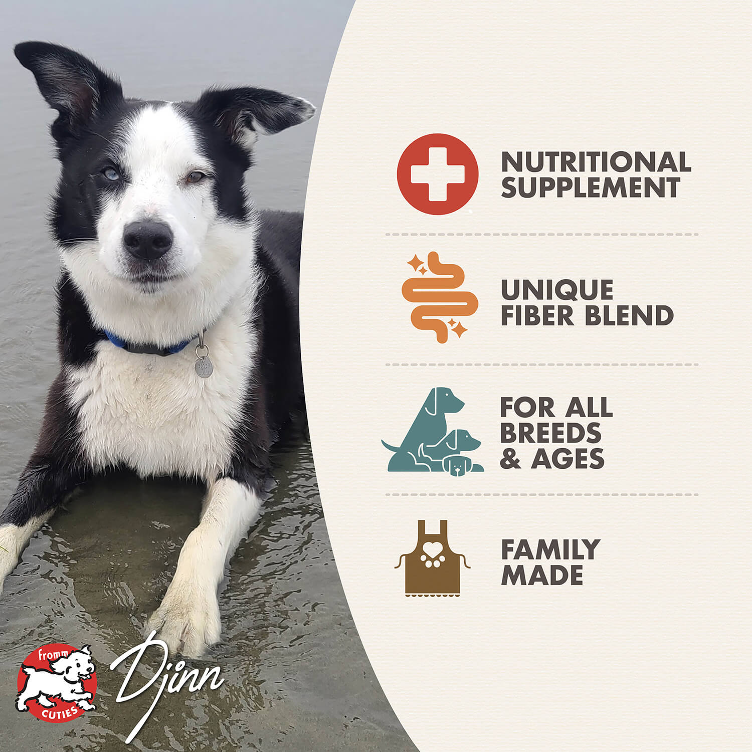 Fromm Nutritionals Whitefish Formula Wet Dog Food - 12.2oz