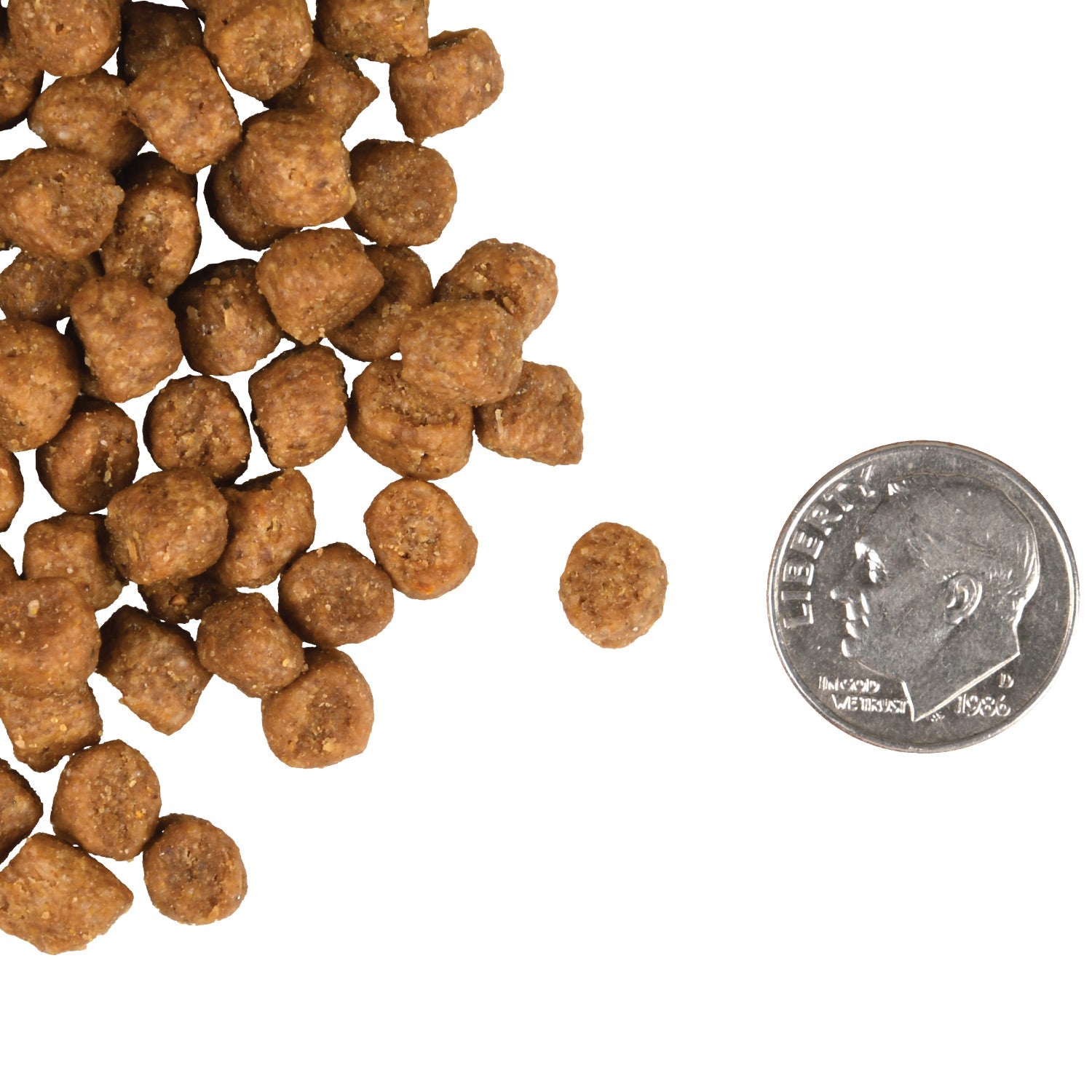 Fromm Indoor Cat Gold Dry Cat Food - 4.5kg