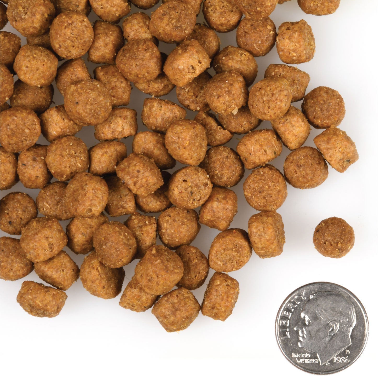 Fromm Large Breed Puppy Gold Dry Dog Food - 2.3kg