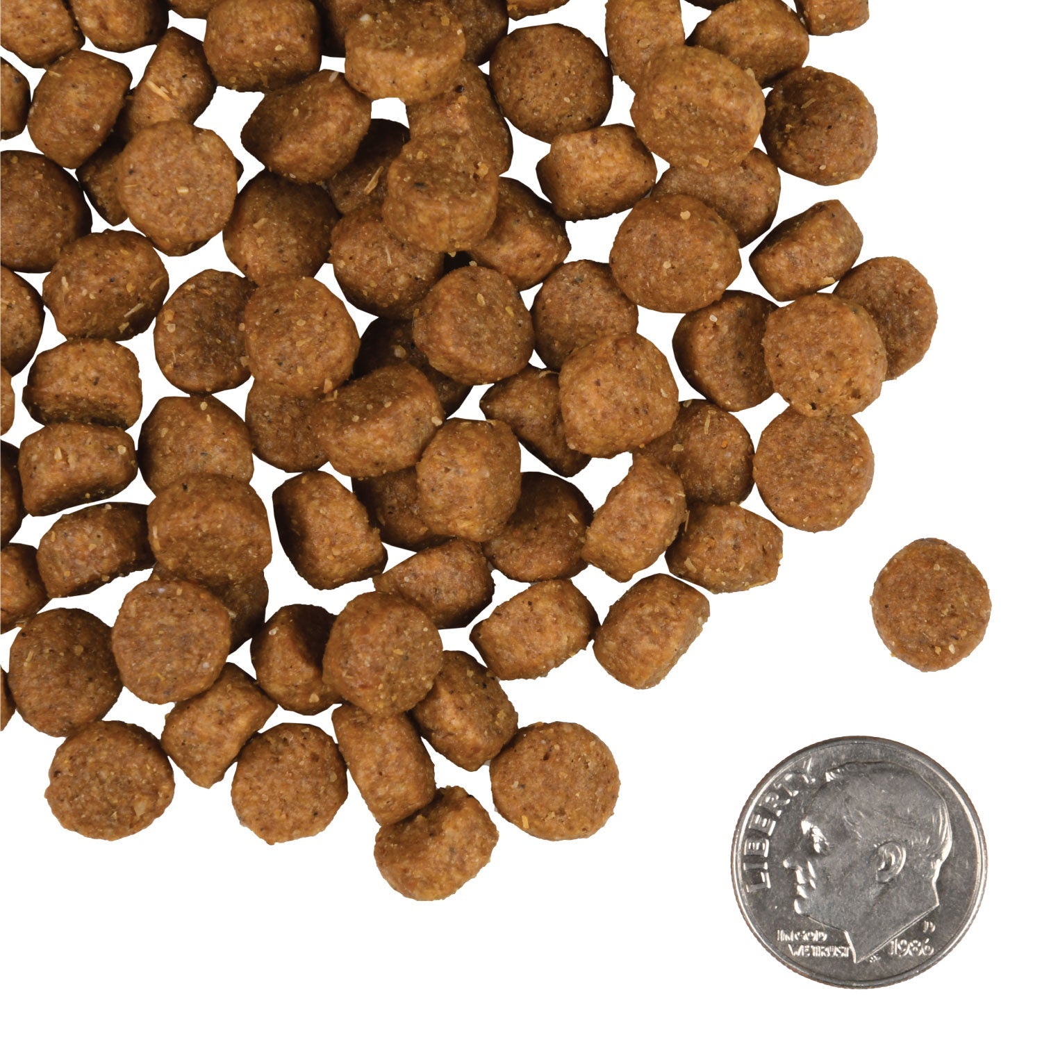 Fromm Small Breed Adult Gold Dry Dog Food - 2.3kg