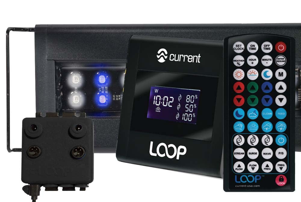 Current USA LOOP Orbit IC LED Light - 48-60 in