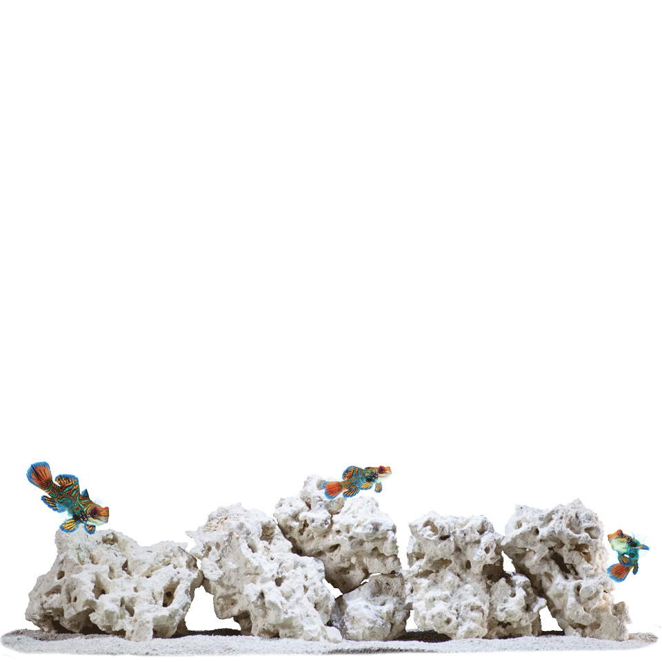 CaribSea South Seas Base Rock 40lb