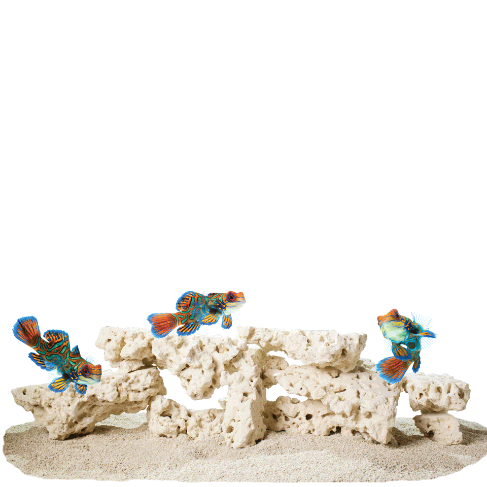 CaribSea South Seas Base Shelf Rock 40lb