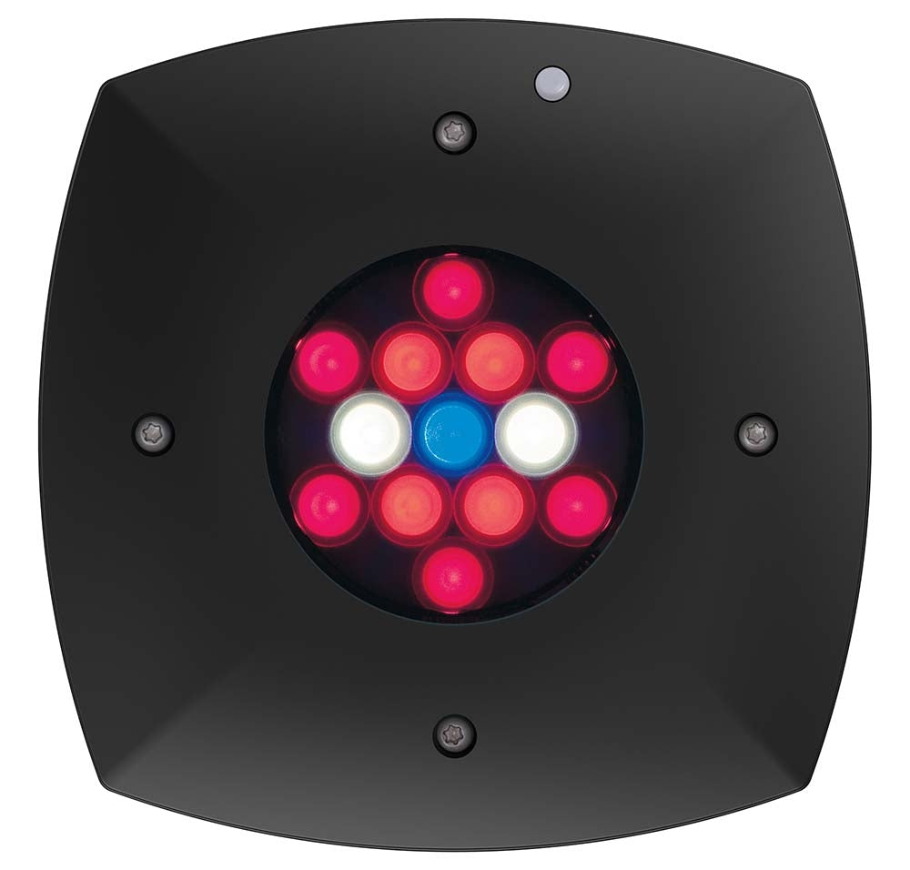 AquaIllumination Prime Fuge Black Refugium LED Light Gen 2