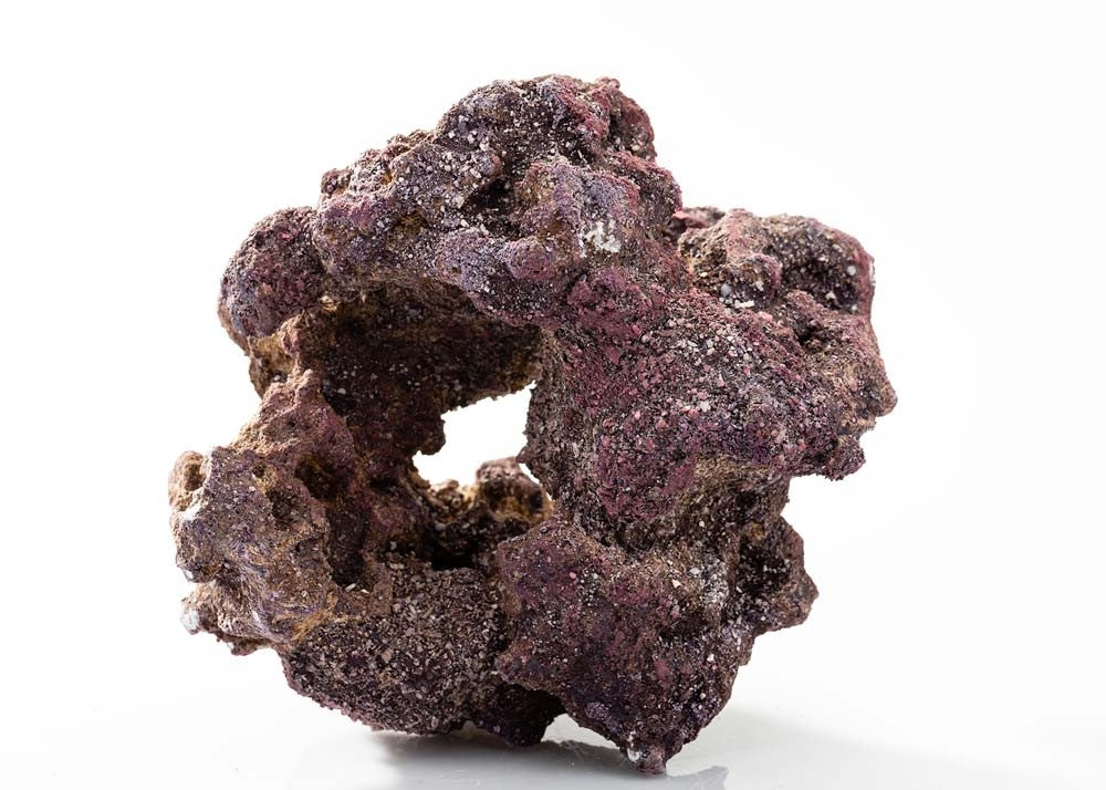 CaribSea Caribbean LifeRock Donuts - 4 Pack