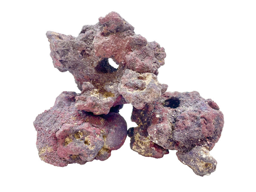 CaribSea LifeRock Fraggerz 10 Pack