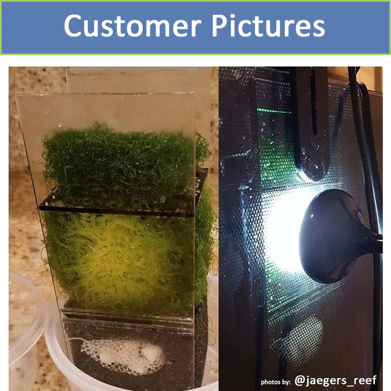 inTank Chamber Two Media Basket For Fluval Evo 13.5 | Evo 52L | Spec 16 | Spec 60L