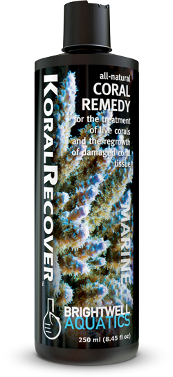 Brightwell Koral Recover - 250 ml