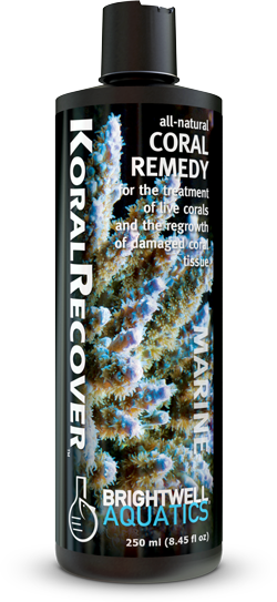 Brightwell Koral Recover - 500 ml