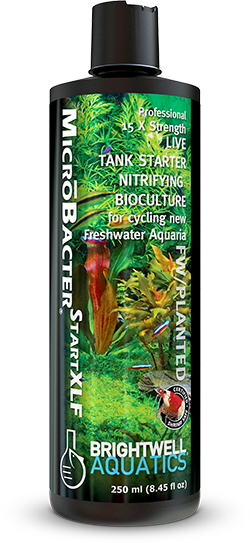 Brightwell Aquatics MicroBacter Start XLF - 500ml