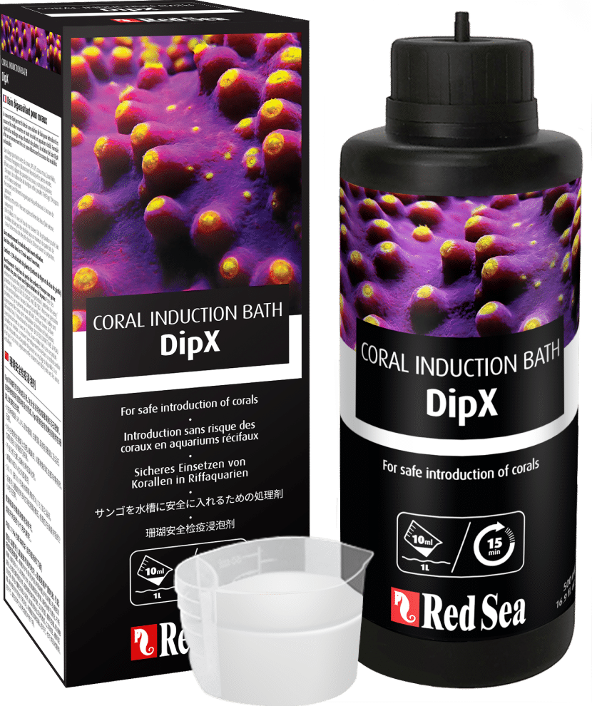 Red Sea Coral Dip DipX - 500 ml