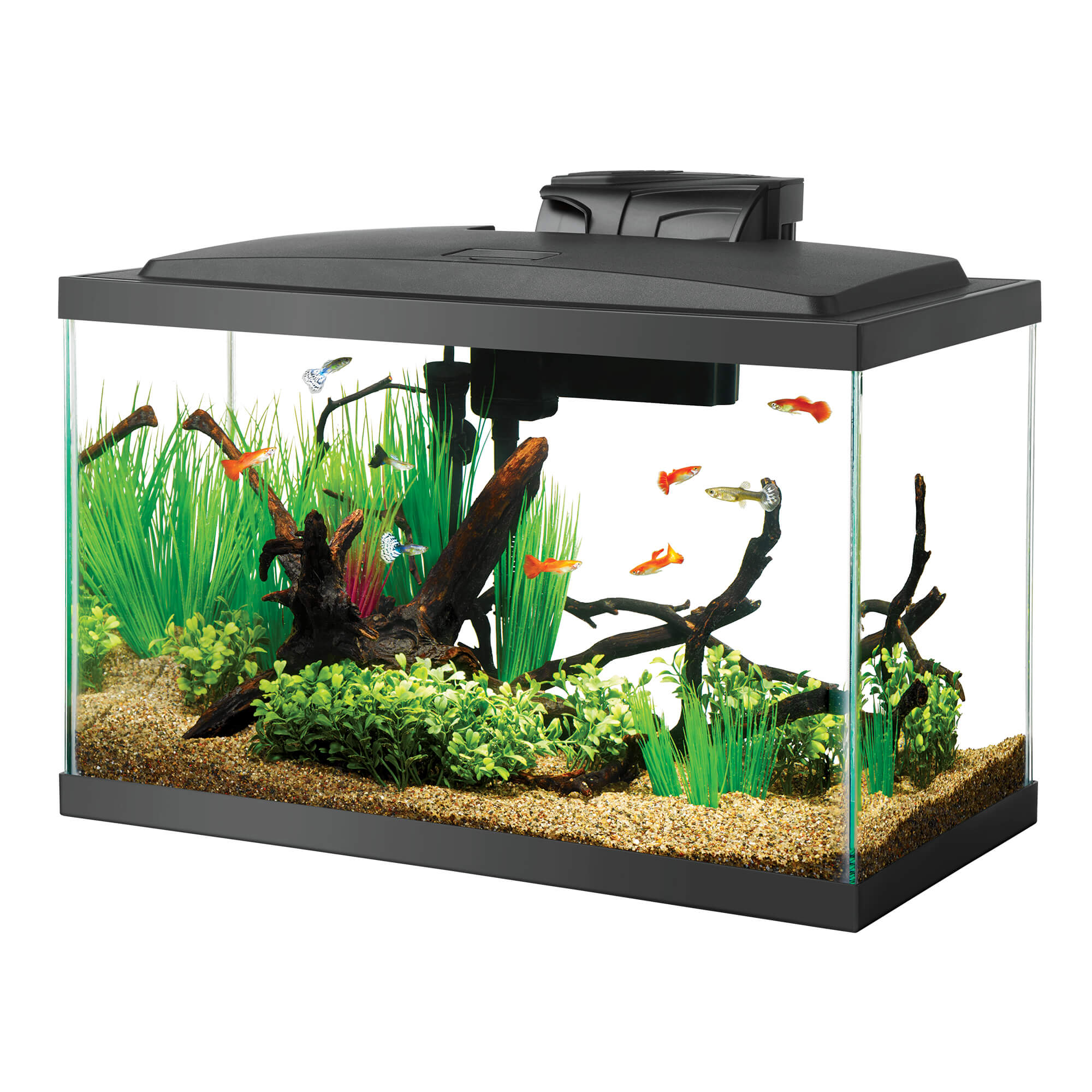 Aqueon LED 10 Aquarium Kit