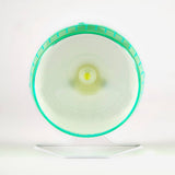 Kaytee Silent Spinner Wheel - Giant - The Pet Source