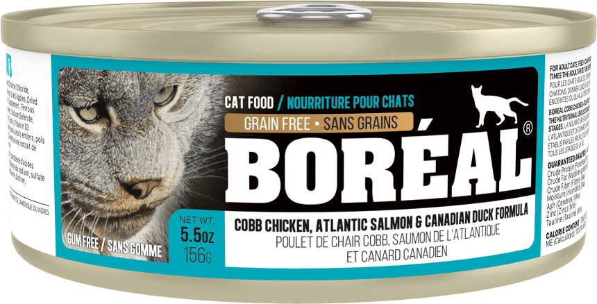 Boreal Cobb Chicken, Canadian Duck & Atlantic Salmon Wet Cat Food Can - 156g - The Pet Source