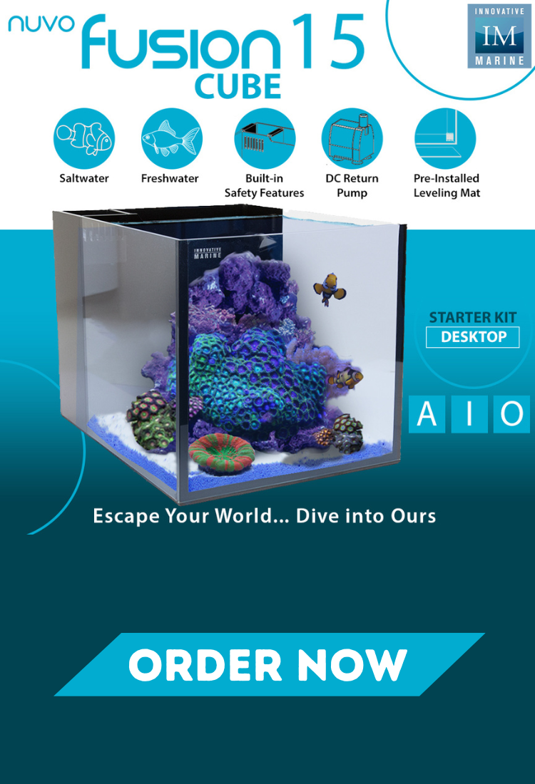 Aquarium Depot Your source for the best Aquarium Supplies