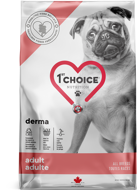 1st Choice Nutrition Derma Salmon Dry Adult Dog Food - 2kg