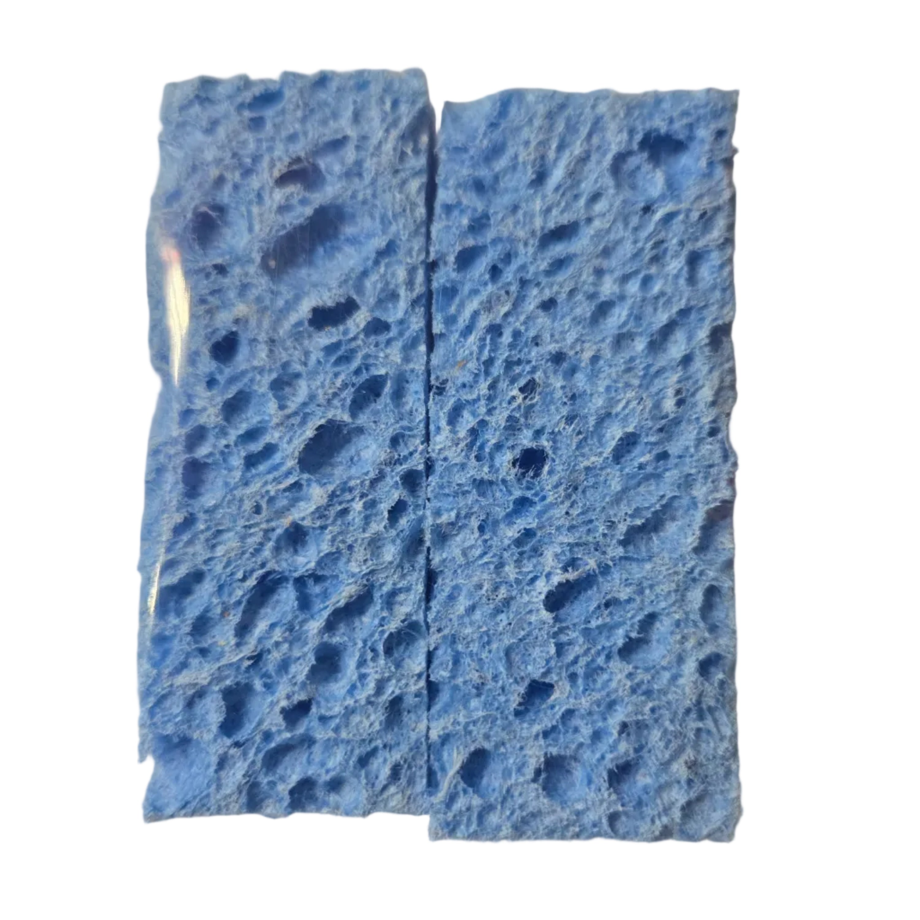 Gryphon Sponge Set - 2 Pack