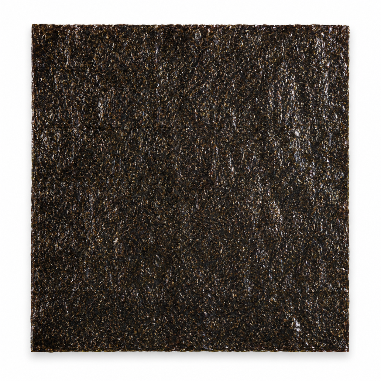 AquaFeast Seaweed - Unroasted Nori Sheets for Marine Fish (100 Pack)