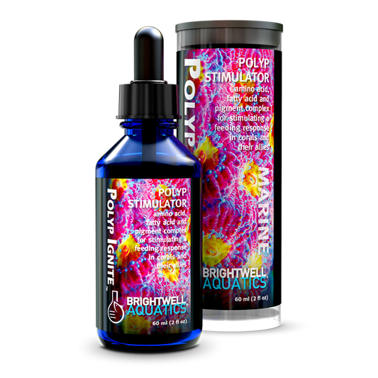 Brightwell Aquatics Polyp Ignite - 60ml