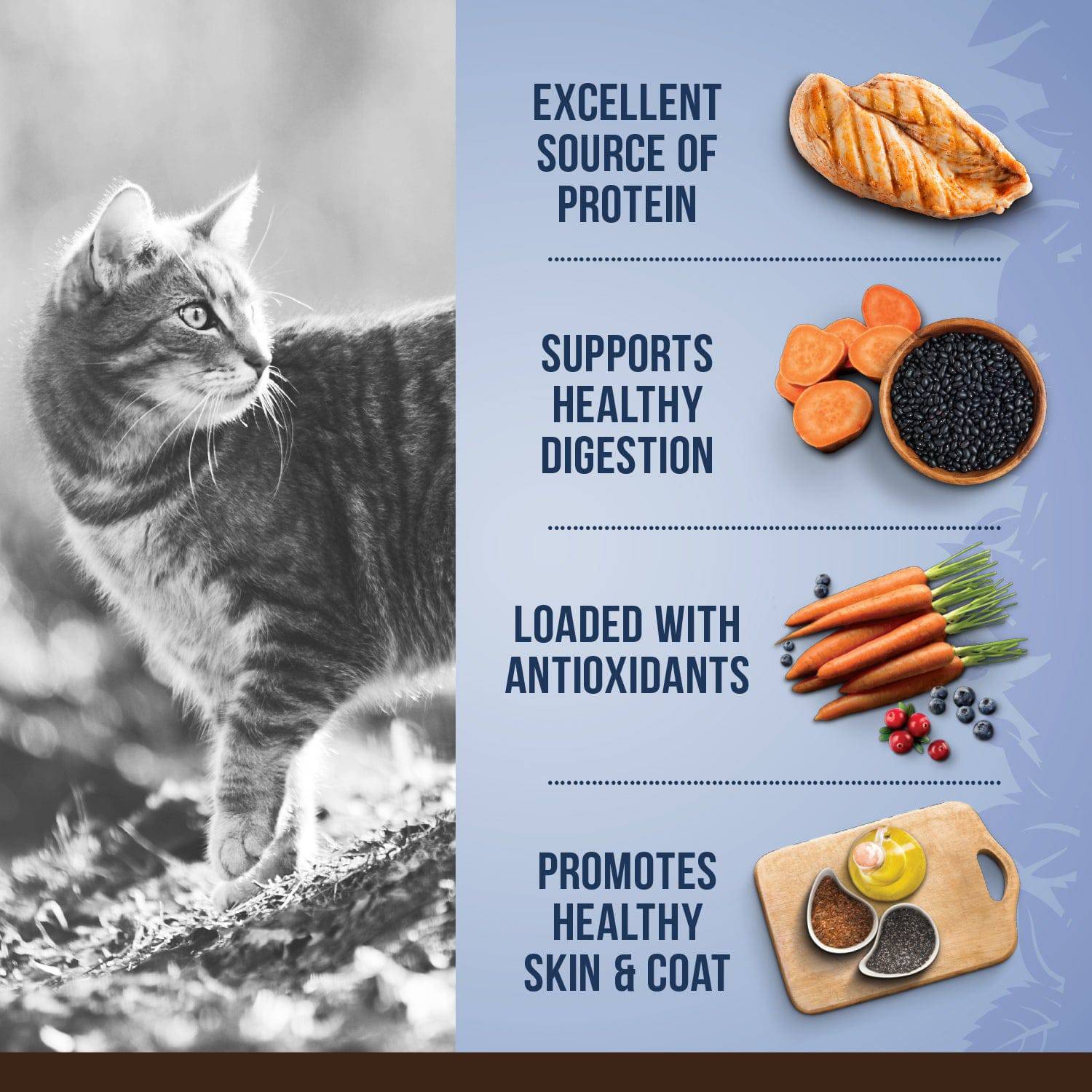 Zoë Cat Daily Nutrition - Chicken with Sweet Potato & Quinoa Recipe - 1.3 kg - The Pet Source