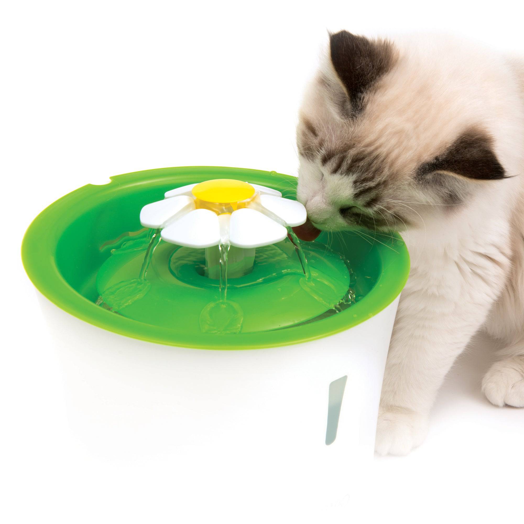 Catit 2.0 Flower Fountain - The Pet Source