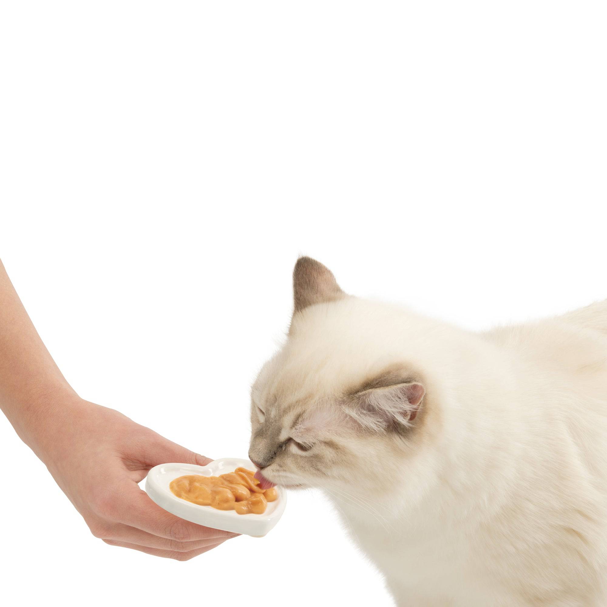 Catit Creamy Heart Dish - The Pet Source