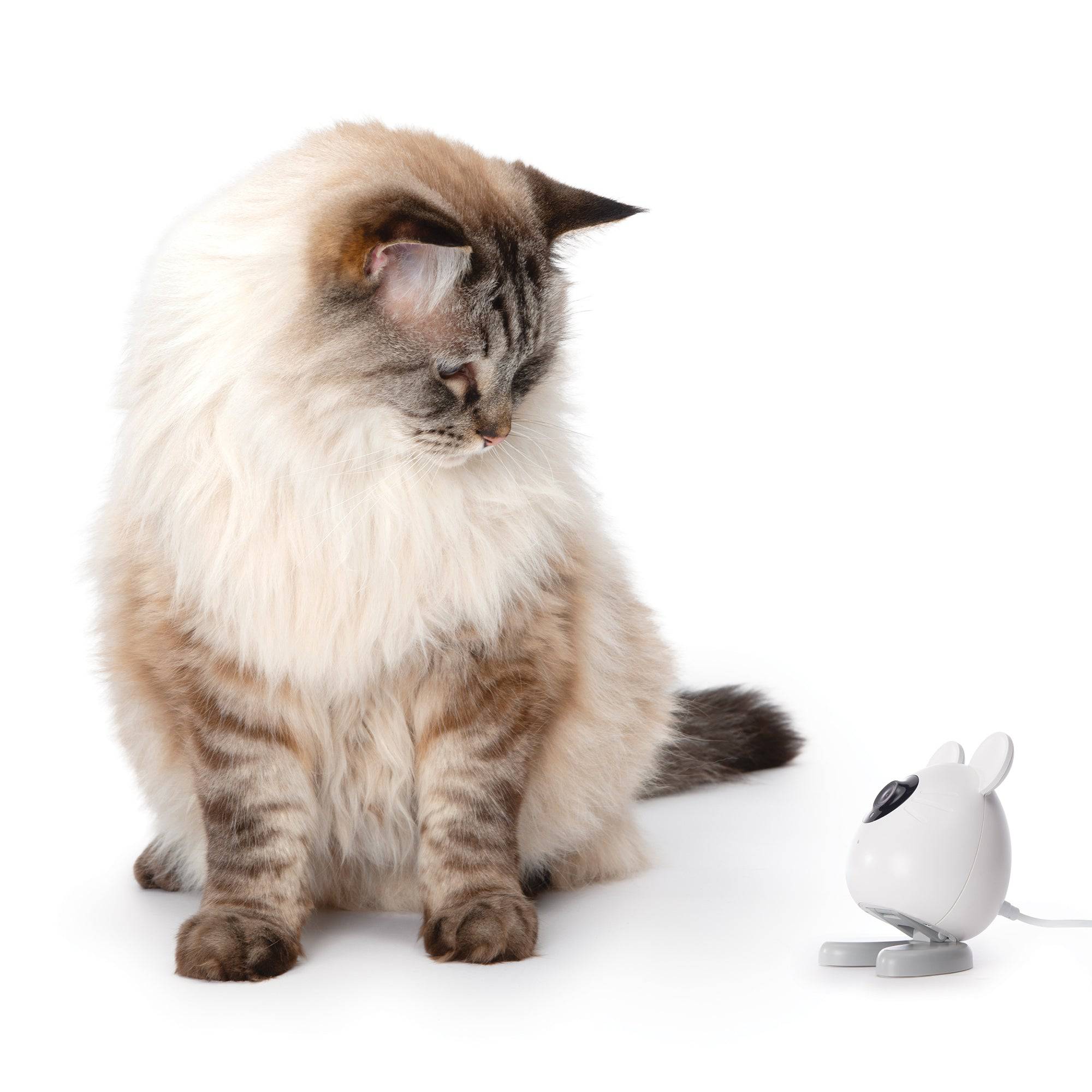 Catit PIXI Smart Mouse Camera - The Pet Source