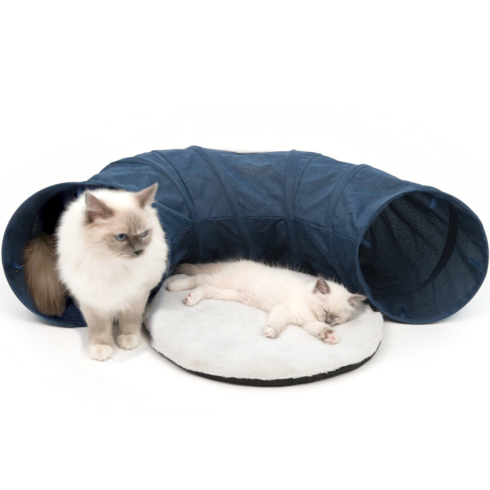 Catit Vesper Tunnel - Blue - 68 x 97 x 28 cm (26.77 x 38.18 x 11 in) - The Pet Source