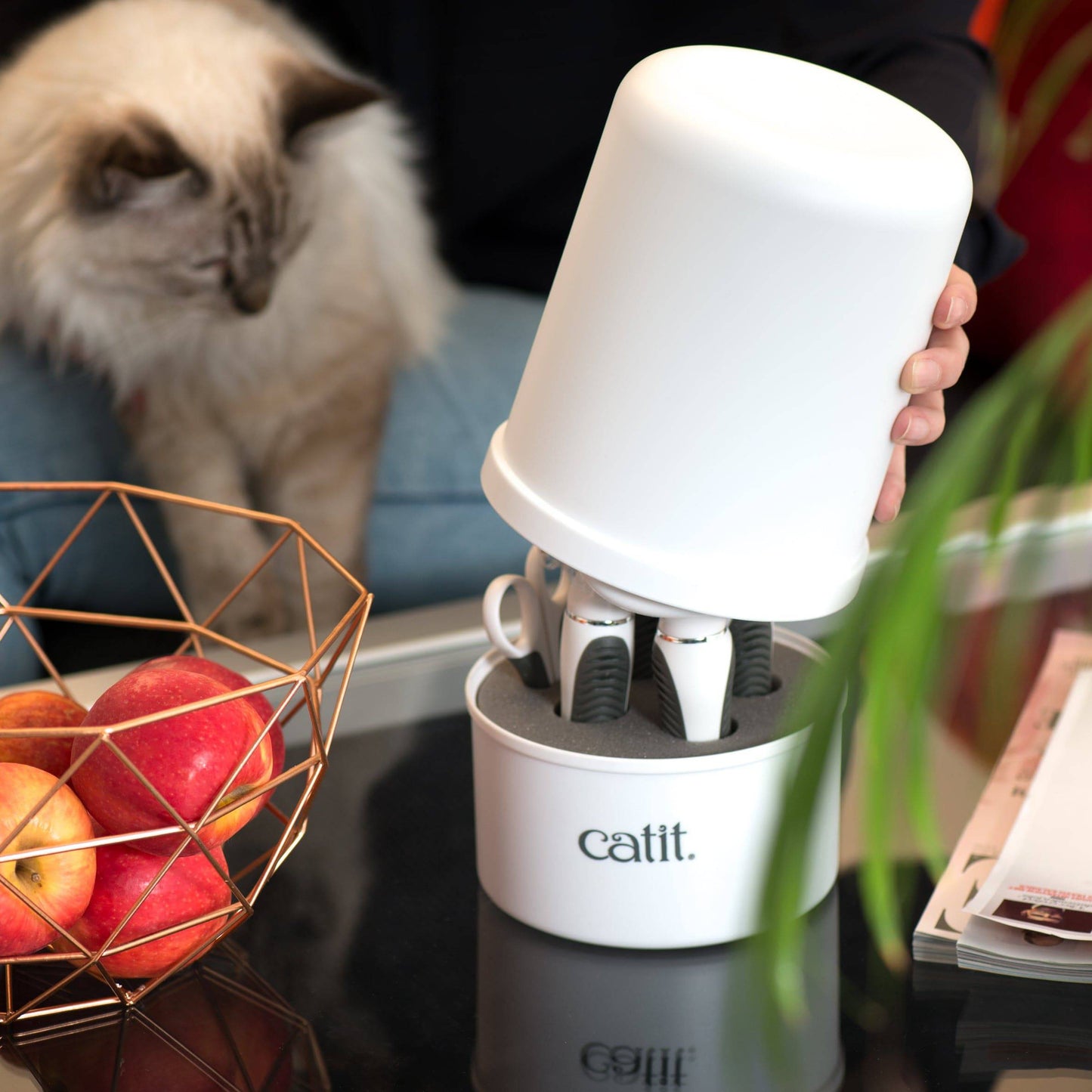 Catit Longhair Grooming Kit - The Pet Source