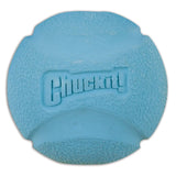 Chuckit! Fetch Ball Dog Toy - Assorted Color - Medium - 2 pack - The Pet Source