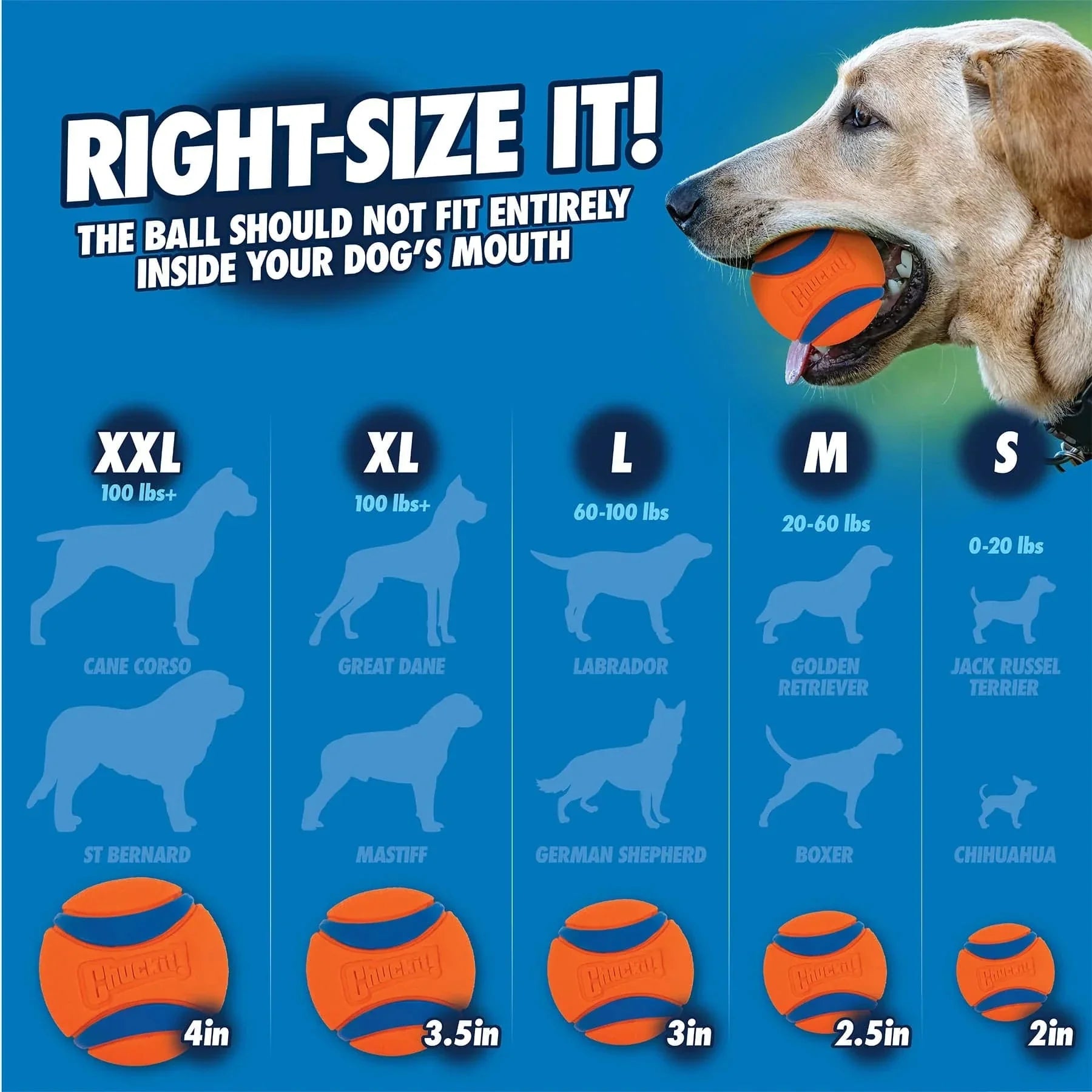 Chuckit! Ultra Squeaker Ball - Large - The Pet Source
