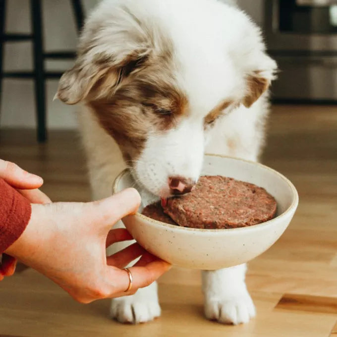 Faim Museau Simply Beef Raw Frozen Dog Food - 6lb