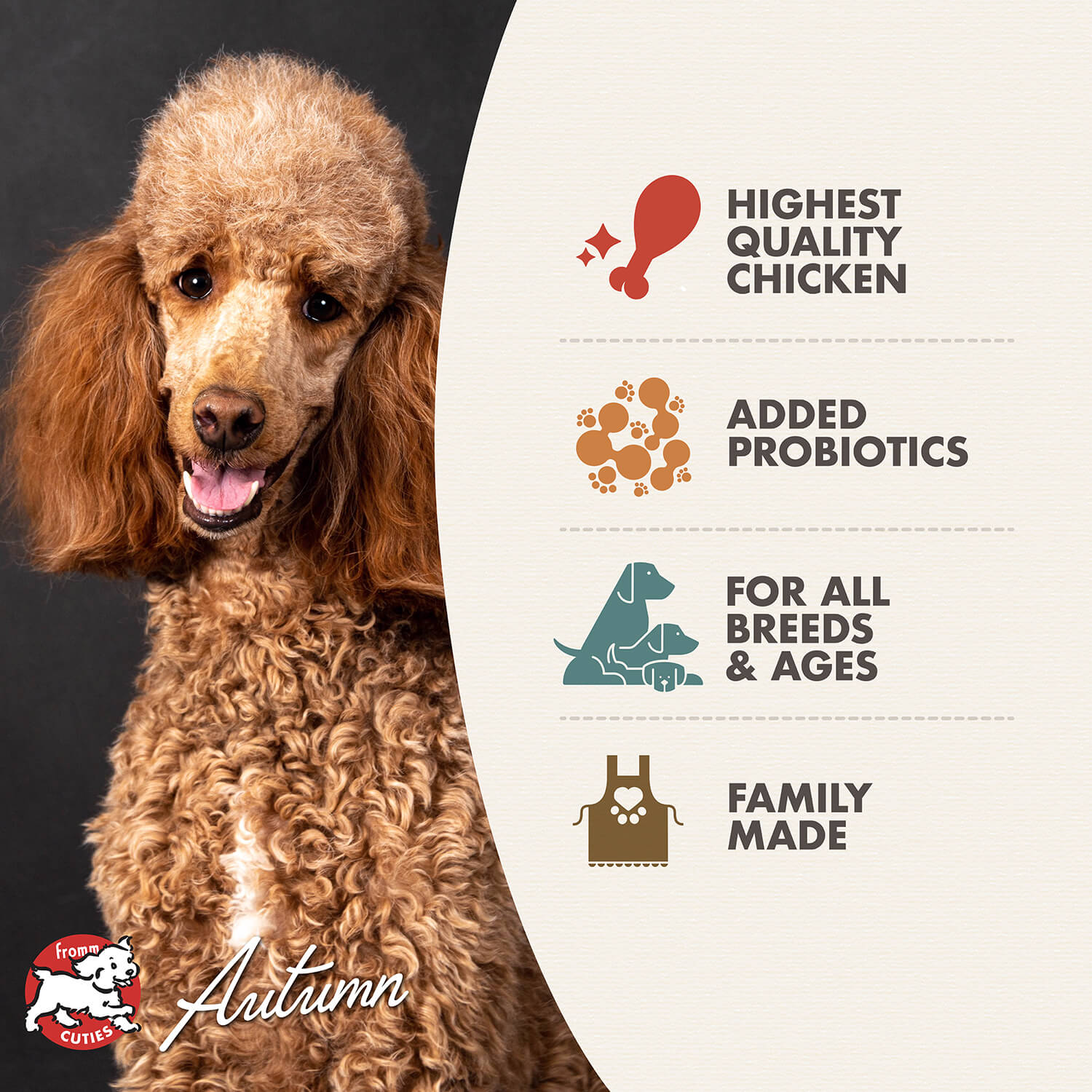 Fromm Four Star Nutritionals Chicken au Frommage Recipe Dry Dog Food - 5.4kg