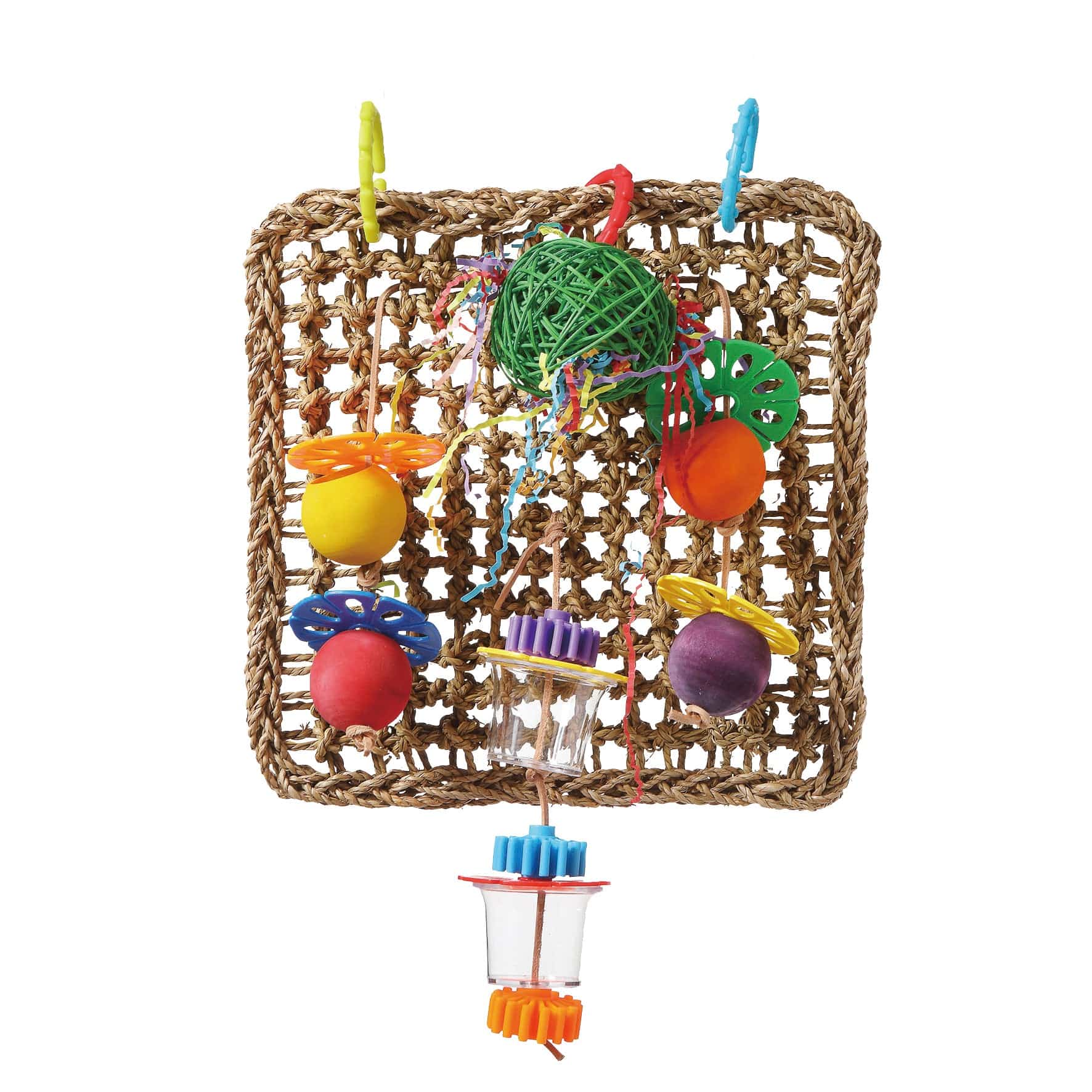 HARI SMART.PLAY Enrichment Parrot Toy - Foraging Wall - The Pet Source
