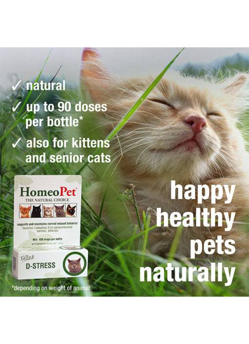 HomeoPet Feline D-Stress - 15ml - The Pet Source