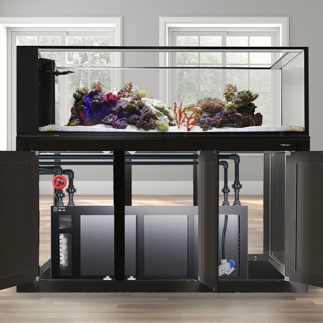 Innovative Marine INT 200 Gallon Peninsula Complete Reef System - Made To Order - Black