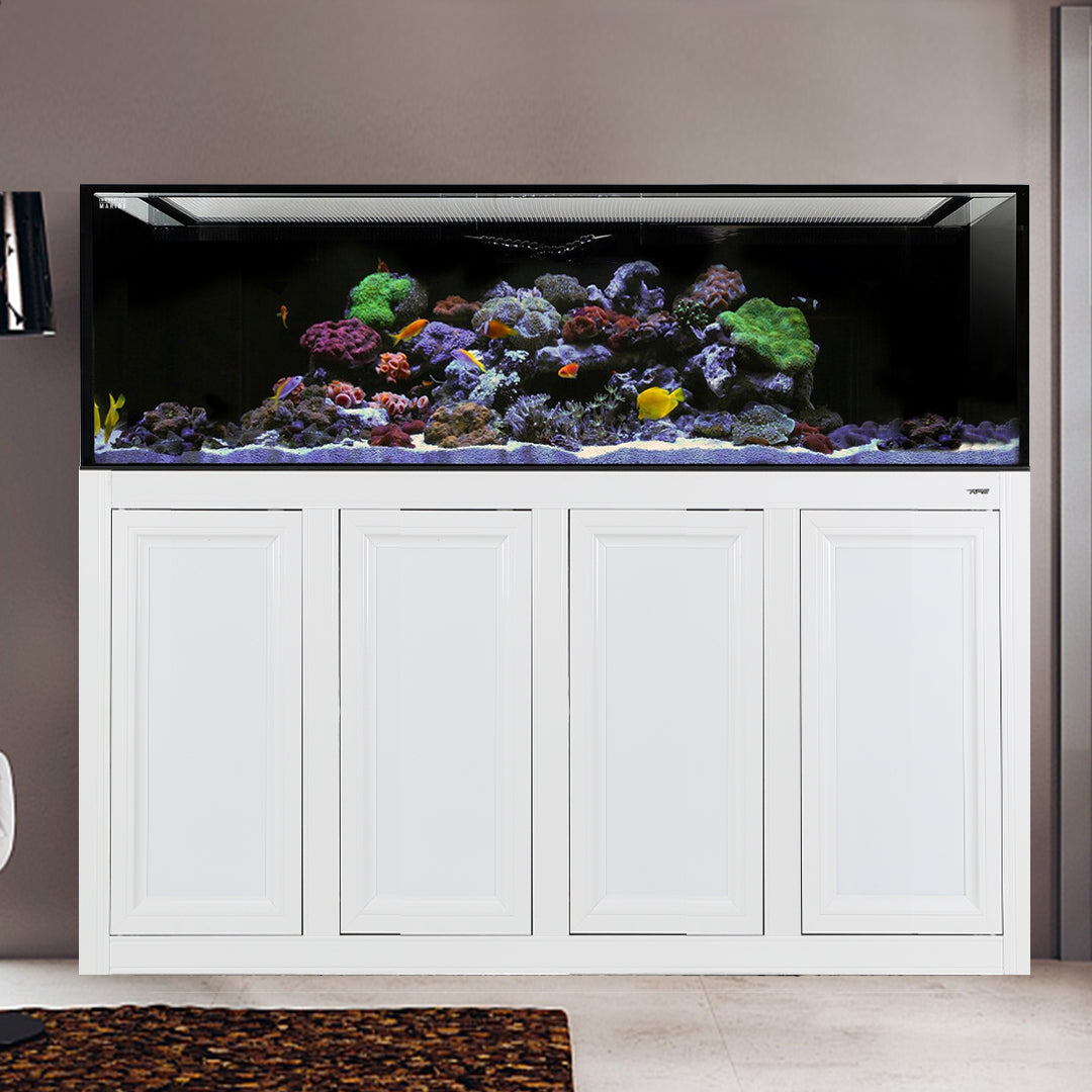 Innovative Marine INT 240 Gallon Aquarium w/ APS Stand - Made To Order - White