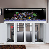 Innovative Marine INT 240 Gallon Complete Reef System - Made To Order - White
