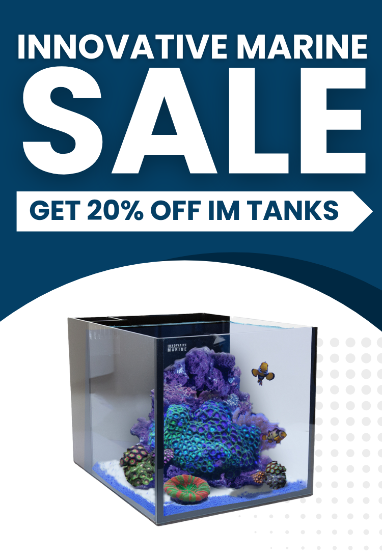 Aquarium Depot Your source for the best Aquarium Supplies