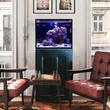 Innovative Marine Fusion Pro 2 - 40 AIO Aquarium w/ APS Stand - Black