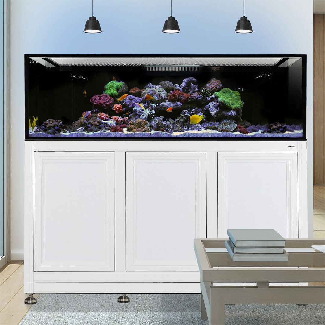 Innovative Marine EXT 200 Gallon Aquarium w/ APS Stand - Made To Order - White