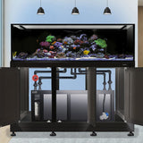 Innovative Marine INT 200 Gallon Complete Reef System - Made To Order - Black