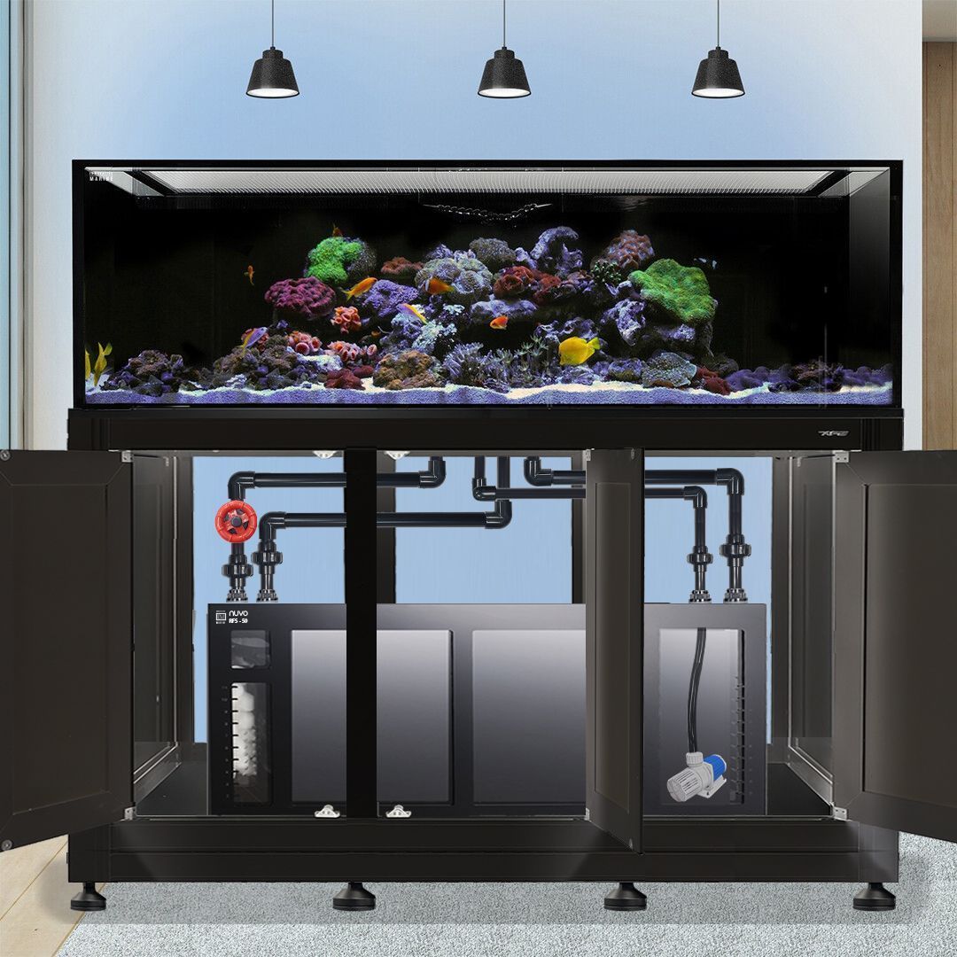 Innovative Marine INT 200 Gallon Complete Reef System - Made To Order - Black
