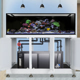 Innovative Marine INT 200 Gallon Complete Reef System - Made To Order - White