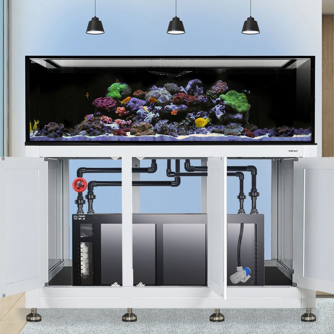 Innovative Marine INT 200 Gallon Complete Reef System - Made To Order - White