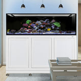 Innovative Marine INT 200 Gallon Complete Reef System - Made To Order - White