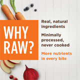 Instinct Raw Boost Mixers Multivitamin for Adult Dogs Food Topper - 12.5oz