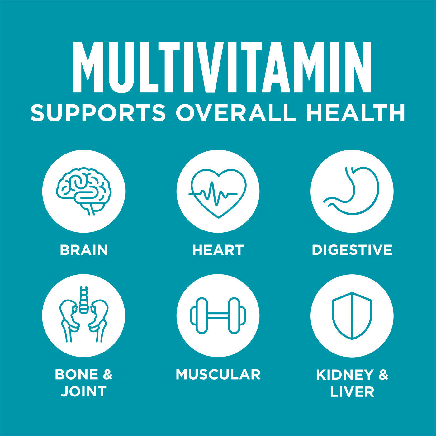Instinct Raw Boost Mixers Multivitamin for Adult Dogs Food Topper - 12.5oz