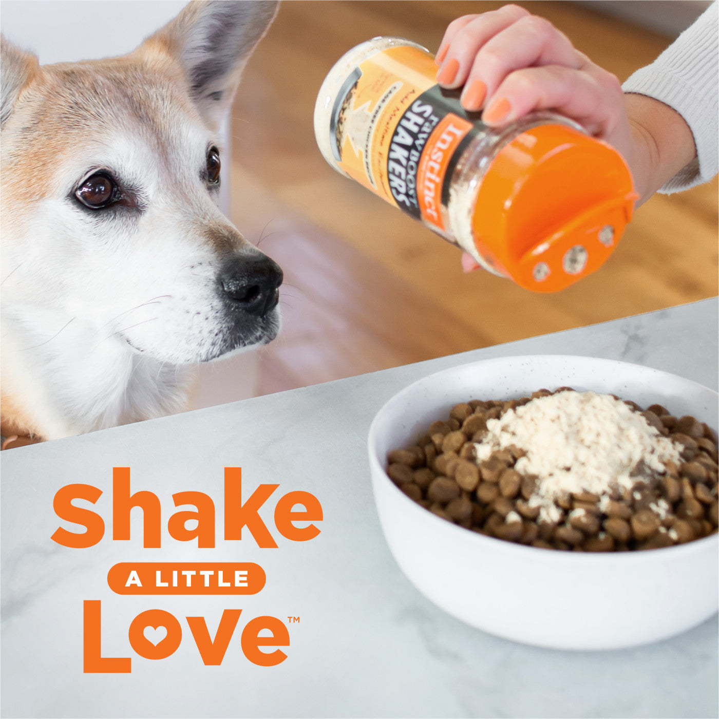 Instinct Raw Boost Shakers Cage Free Chicken Dog Food Topper - 5.5oz