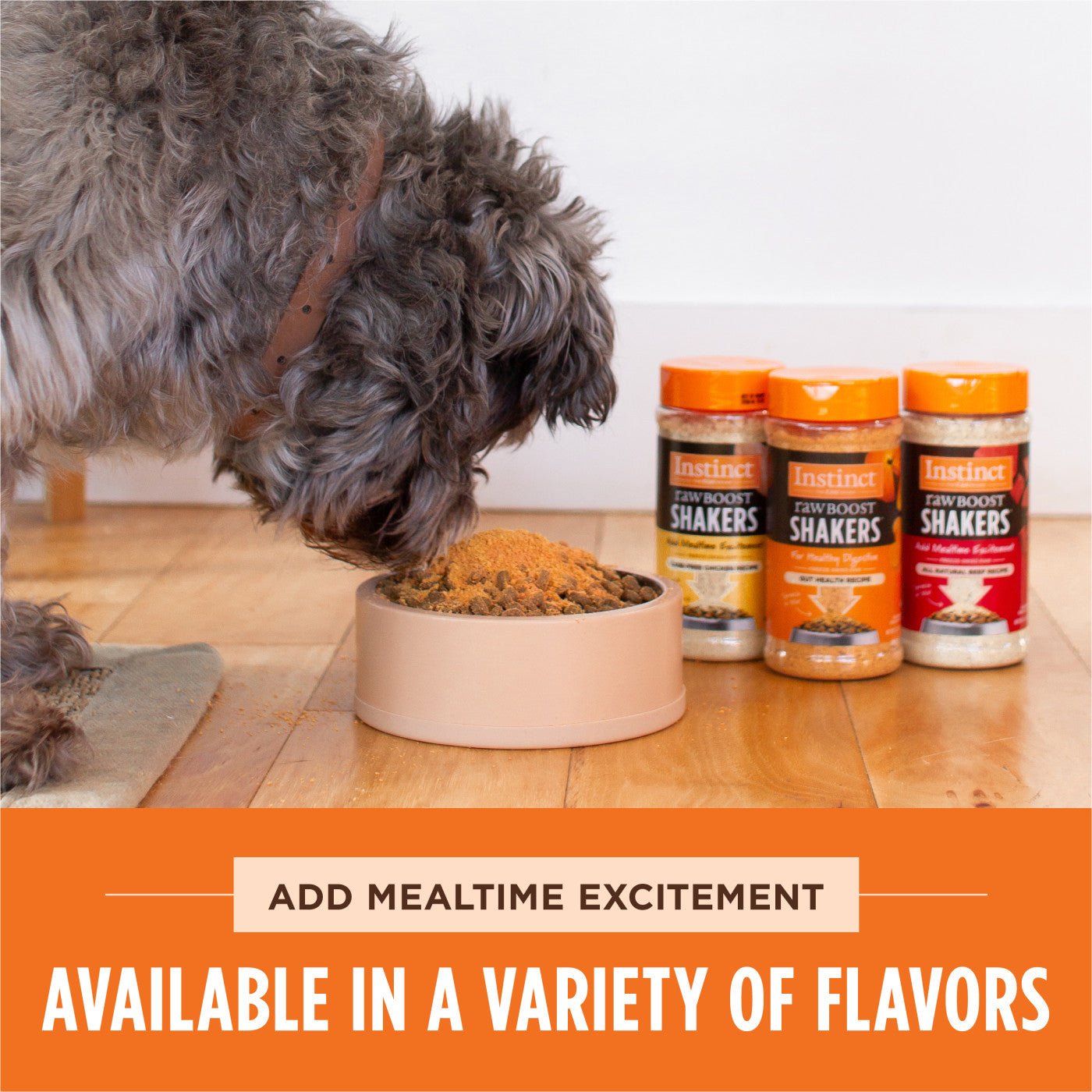 Instinct Raw Boost Shakers Gut Health Dog Food Topper - 5.5oz